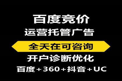竞价广告在XX行业的成功应用案例